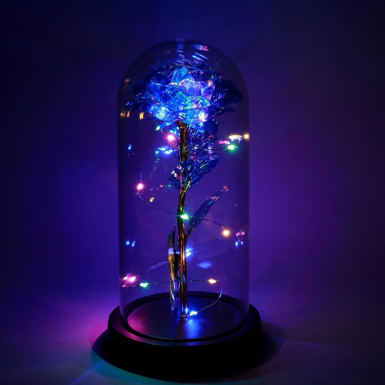 Soft Shine Enchanted Bloom Soft Shine Enchanted Bloom
